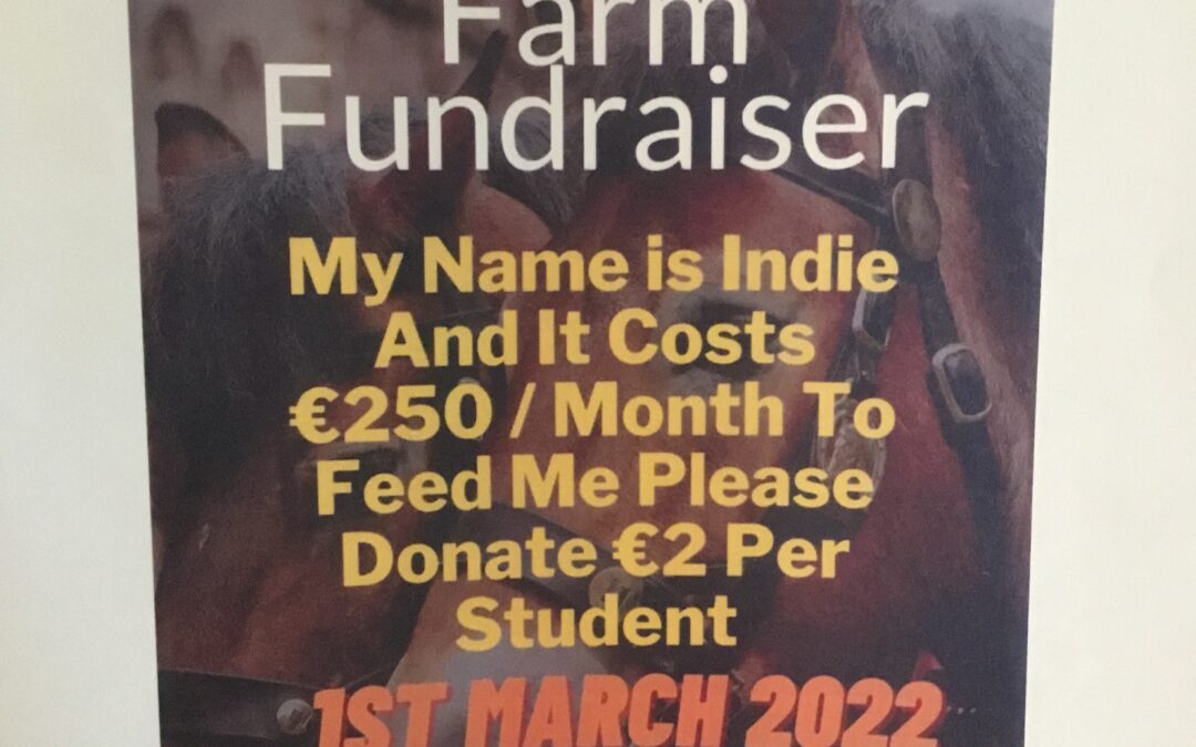 Liskennett Farm Fundraiser.