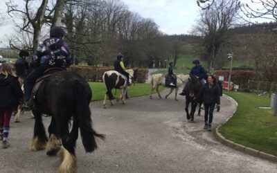 Enjoying our day at Liskennet Farm. 🐴