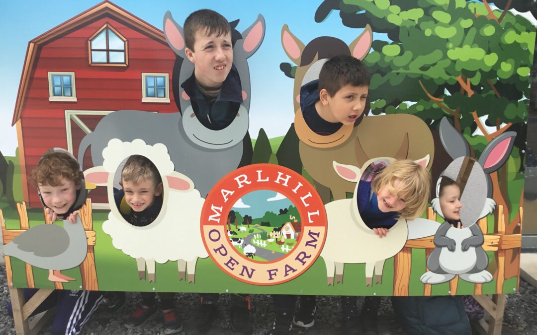 Spraoí School Tour to Marlhill Farm