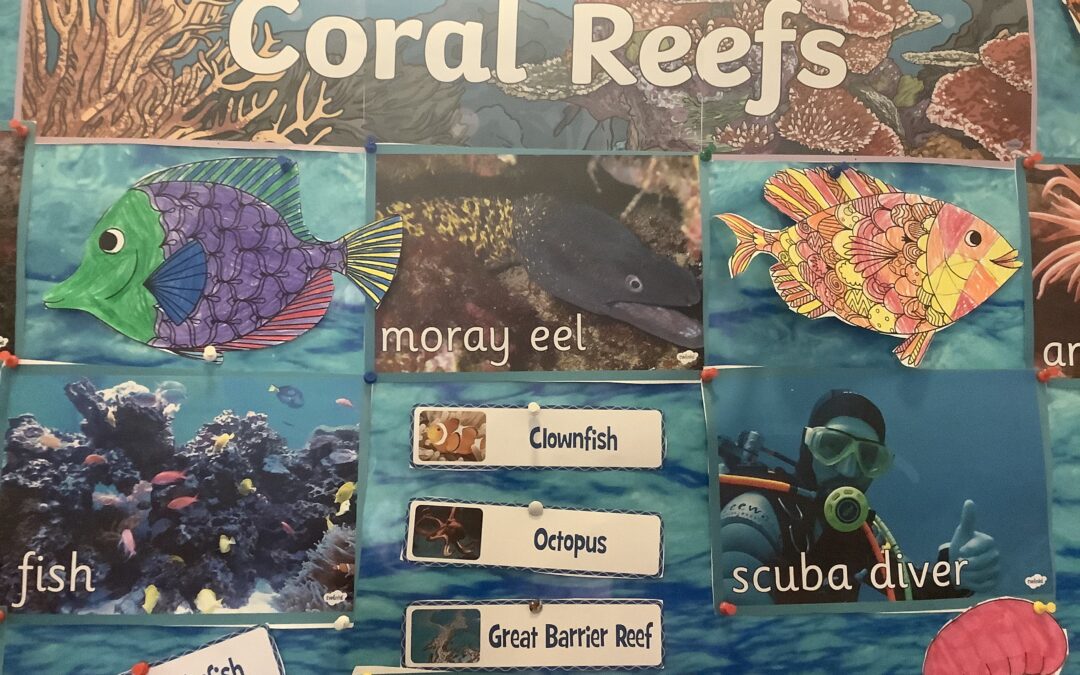 1st&2nd class Coral Reef work