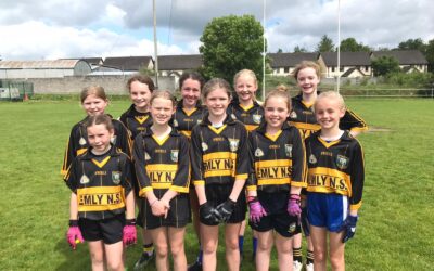 Another sporting day out for our school. 1st&2nd class played hurling in Lattin. 4th&5th class played football in Cappawhite.