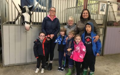 Spraoí class horse riding at Liskennett🐎