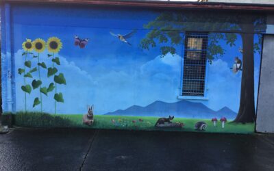 A HUGE thank you to everyone who supported The Bumper Draw. Your contribution has allowed us to invest in New play equipment for the Junior Yard- which will enhance teaching and Learning through play. A big shout out to our local artist Michael Burke for his fabulous  mural. Your continued support is greatly appreciated.