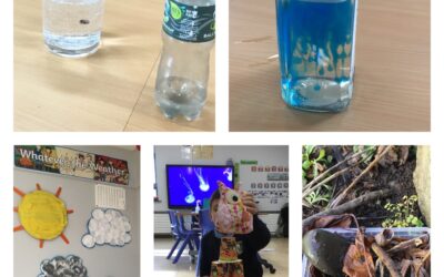 Science week in Spraoí class