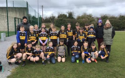 U11 travelled to Thurles today for a Lift & Strike blitz at Dr Morris Park.