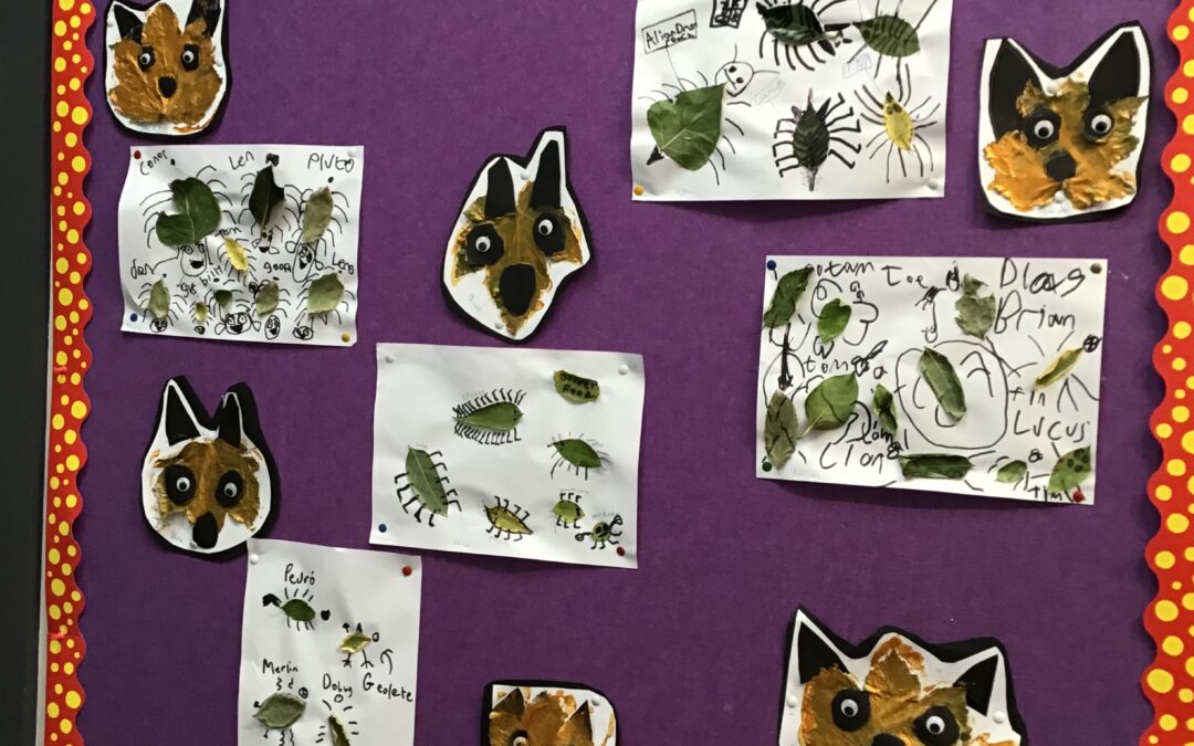 Lovely work following our Autumn & wild life theme this month 🍁🍂🍃