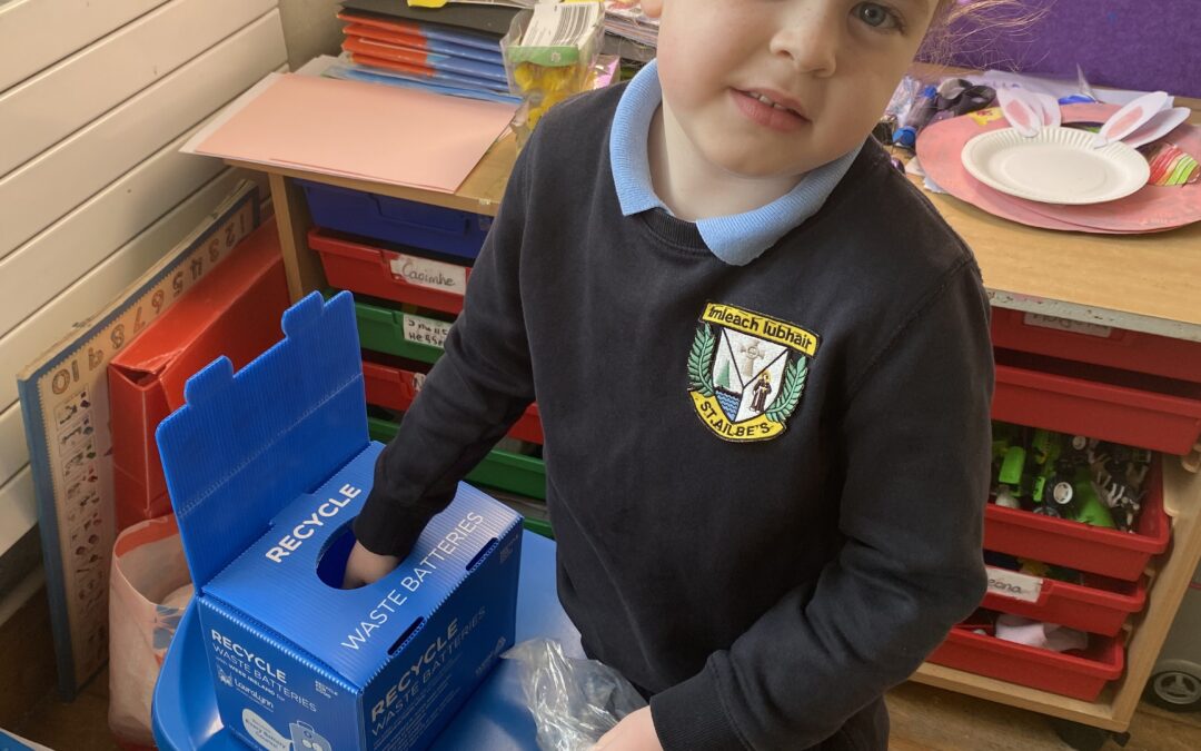Laura Lynn/ Battery Recycling project