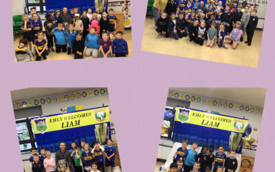 Liam McCarthy Cup comes to St Ailbe’s NS.