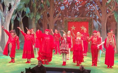 Christmas Pantomime.